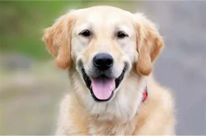 Zoe